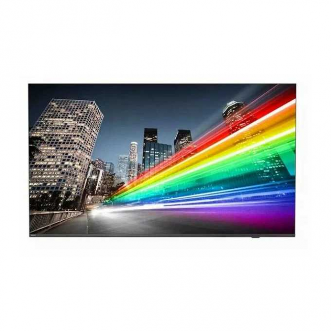 Коммерческий телевизор Philips 55BFL2214/12