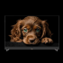 Телевизор TOPDEVICE TDTV50DQ08U_BK