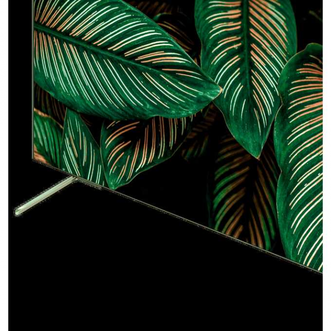 Телевизор Grundig 55GH9500 Телевизор Grundig 55GH9500