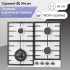 Варочная поверхность Zigmund & Shtain G 20.6 W