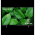Телевизор Grundig 75QLEDGH8000 черный