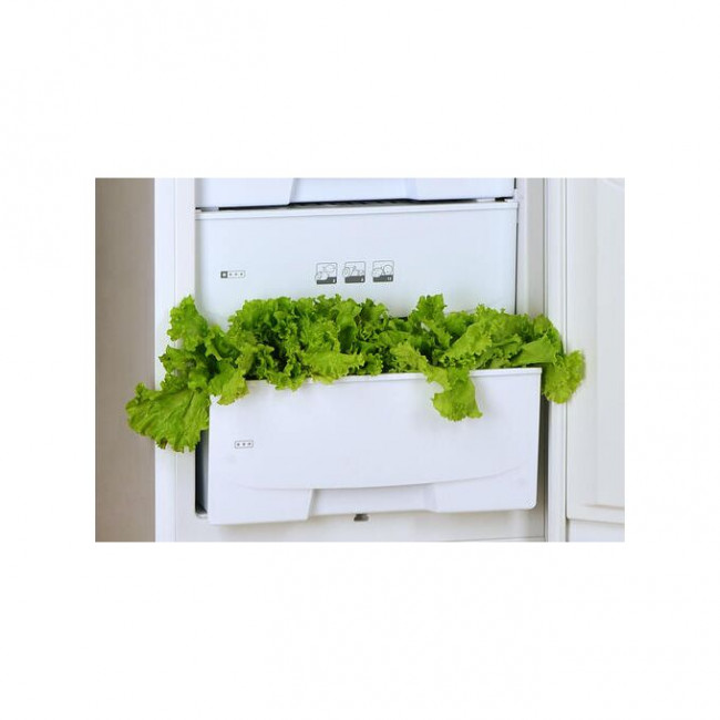 Холодильник POZIS RD-149 серебристый (547LV)