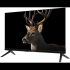 24" Телевизор TopDevice TDWC24BH3260V черный 1366x768, HD, 60 Гц, Wi-Fi, Smart TV, Яндекс ТВ 24" Телевизор TopDevice TDWC24BH3260V черный 1366x768, HD, 60 Гц, Wi-Fi, Smart TV, Яндекс ТВ