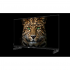 32" Телевизор Topdevice TDWC32BF5260V черный 1920x1080, Full HD, 60 Гц, Wi-Fi, Smart TV, Google TV 32" Телевизор Topdevice TDWC32BF5260V черный 1920x1080, Full HD, 60 Гц, Wi-Fi, Smart TV, Google TV